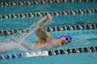 Swimming & Diving vs RWU  Swimming & Diving vs Roger Williams University. - Photo by Keith Nordstrom : Wheaton, Swimming